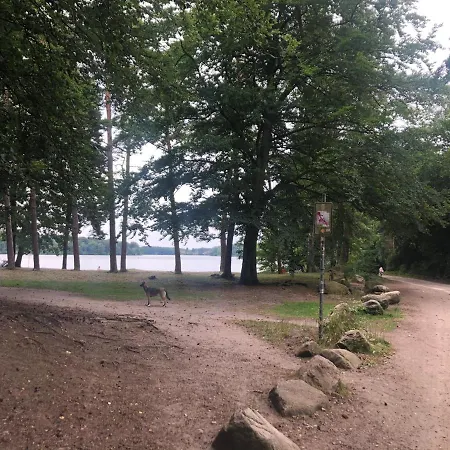 Luely Lutjensee